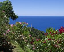 Italy Calabria Belmonte Calabro, Cosenza vacation rental compare prices direct by owner 4008837