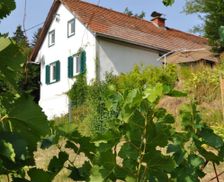 Austria Styria Leutschach vacation rental compare prices direct by owner 4031997