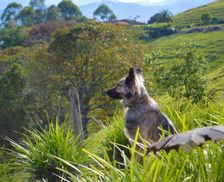 Colombia Quindío Salento vacation rental compare prices direct by owner 3422369