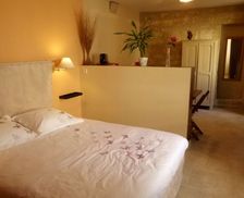 France Centre-Val De Loire Vernou-Sur-Brenne vacation rental compare prices direct by owner 9888078