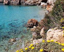 Spain PM S'Illot-Cala Morlanda vacation rental compare prices direct by owner 4227762