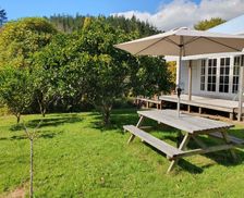 New Zealand Waihi Karangahake vacation rental compare prices direct by owner 6714672