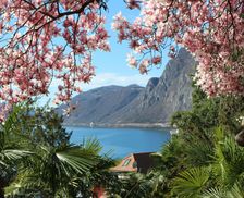 Switzerland TI Lugano vacation rental compare prices direct by owner 25211483