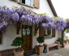 France Grand Est Rimbachzell vacation rental compare prices direct by owner 4110911