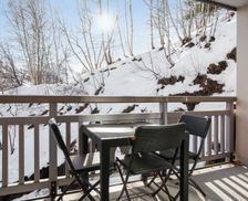 France  Les Deux Alpes vacation rental compare prices direct by owner 11622618