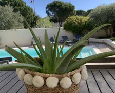 France Provence - Alpes - Cote d'Azur AUBIGNAN vacation rental compare prices direct by owner 6628595