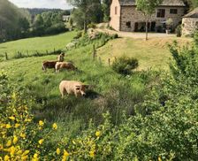 France Lozère Peyre en Aubrac vacation rental compare prices direct by owner 10354375