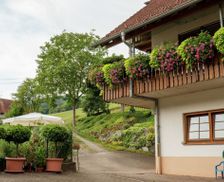 Germany  Schuttertal-Regelsbach vacation rental compare prices direct by owner 29856244