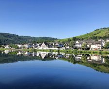 Germany RP Zell (Mosel) vacation rental compare prices direct by owner 15529567