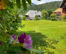 Germany BW Sankt Blasien vacation rental compare prices direct by owner 25256075