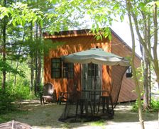 United States Maine Lincoln vacation rental compare prices direct by owner 33134855