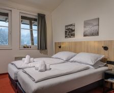 Austria Salzburg Viehhofen vacation rental compare prices direct by owner 33327345