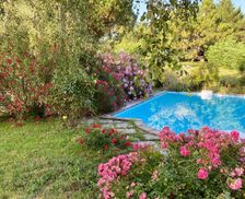 France Tarn Lisle-sur-Tarn vacation rental compare prices direct by owner 29053202