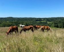 France Corrèze SAINT GENIEZ O MERLE vacation rental compare prices direct by owner 33458060