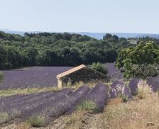 France Alpes-de-Haute-Provence Pierrerue vacation rental compare prices direct by owner 33350324