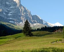 Switzerland Canton of Bern Grindelwald vacation rental compare prices direct by owner 28149622