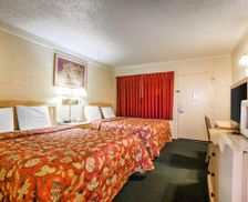 United States California Yreka vacation rental compare prices direct by owner 12674681