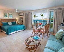 U.S. Virgin Islands Saint Thomas St Thomas vacation rental compare prices direct by owner 33437724