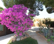 Spain Ibiza Ibiza Town vacation rental compare prices direct by owner 18005534