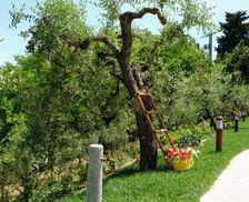 Italy Tuscany San Gimignano vacation rental compare prices direct by owner 16344185