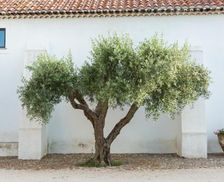 Portugal Alentejo Gavião vacation rental compare prices direct by owner 16421542