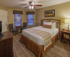 United States Texas Flint vacation rental compare prices direct by owner 12745569