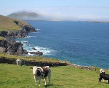 Ireland Kerry Dingle vacation rental compare prices direct by owner 14388288