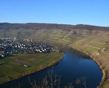 Germany Rhineland-Palatinate Piesport vacation rental compare prices direct by owner 14810953