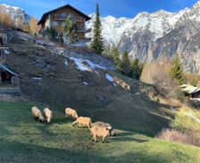 Switzerland Canton of Valais Grächen vacation rental compare prices direct by owner 14943771