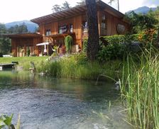 Austria Carinthia Berg im Drautal vacation rental compare prices direct by owner 13739108