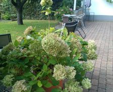 Germany Rhineland-Palatinate Billigheim-Ingenheim vacation rental compare prices direct by owner 14129775