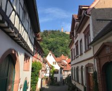 Germany Baden-Württemberg Weinheim vacation rental compare prices direct by owner 26780184