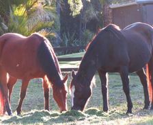 New Zealand Great Barrier Island Great Barrier Island vacation rental compare prices direct by owner 13963549