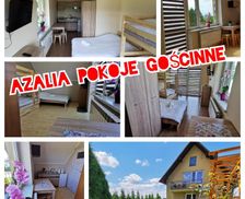 Poland Lesser Poland Zator vacation rental compare prices direct by owner 18045184