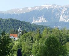 Slovenia Gorenjska Bled vacation rental compare prices direct by owner 8576399