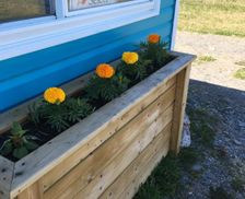 Canada Newfoundland and Labrador Rocky Harbour vacation rental compare prices direct by owner 12683804