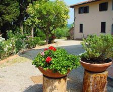 Italy Tuscany Palaia vacation rental compare prices direct by owner 16439717