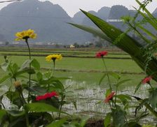 Vietnam Quang Binh Phong Nha vacation rental compare prices direct by owner 14020520