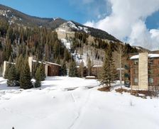 United States Colorado Mid Vail vacation rental compare prices direct by owner 25128201