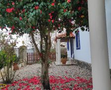 Portugal Centro Tomar vacation rental compare prices direct by owner 15998560