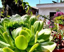 Mexico Oaxaca Teotitlán del Valle vacation rental compare prices direct by owner 12924519