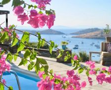 Greece Kea (Tzia) Vourkarion vacation rental compare prices direct by owner 14127251