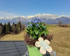 Austria Tyrol Volders vacation rental compare prices direct by owner 13752927