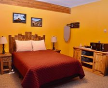 United States Colorado Ouray vacation rental compare prices direct by owner 19414532