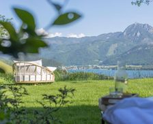 Austria Upper Austria St. Wolfgang vacation rental compare prices direct by owner 15814523