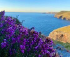 United Kingdom Cornwall Boscastle vacation rental compare prices direct by owner 14884257