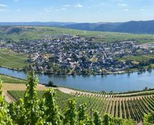 Germany Rhineland-Palatinate Piesport vacation rental compare prices direct by owner 17794375