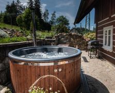 Czechia Liberec Region Rokytnice nad Jizerou vacation rental compare prices direct by owner 5017191
