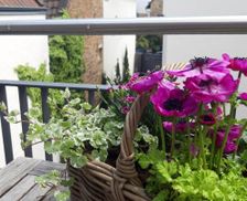 Germany Rhineland-Palatinate Deidesheim vacation rental compare prices direct by owner 29303395