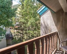 United States New Mexico Taos Ski Valley vacation rental compare prices direct by owner 14473615